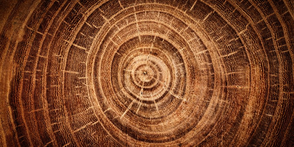The Language of Wood: Nature's Palette in Watchmaking