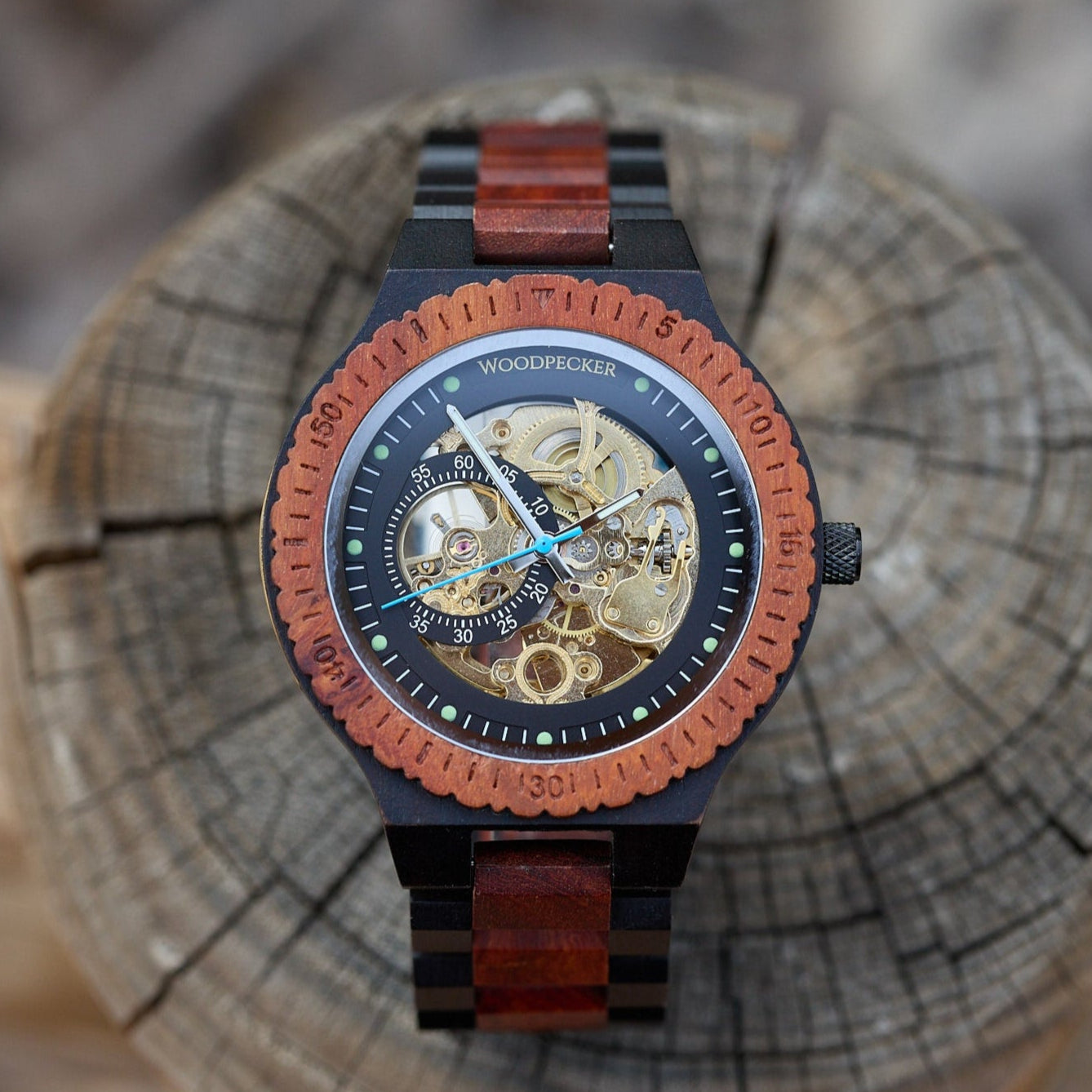 Collections – WoodpeckerWatches