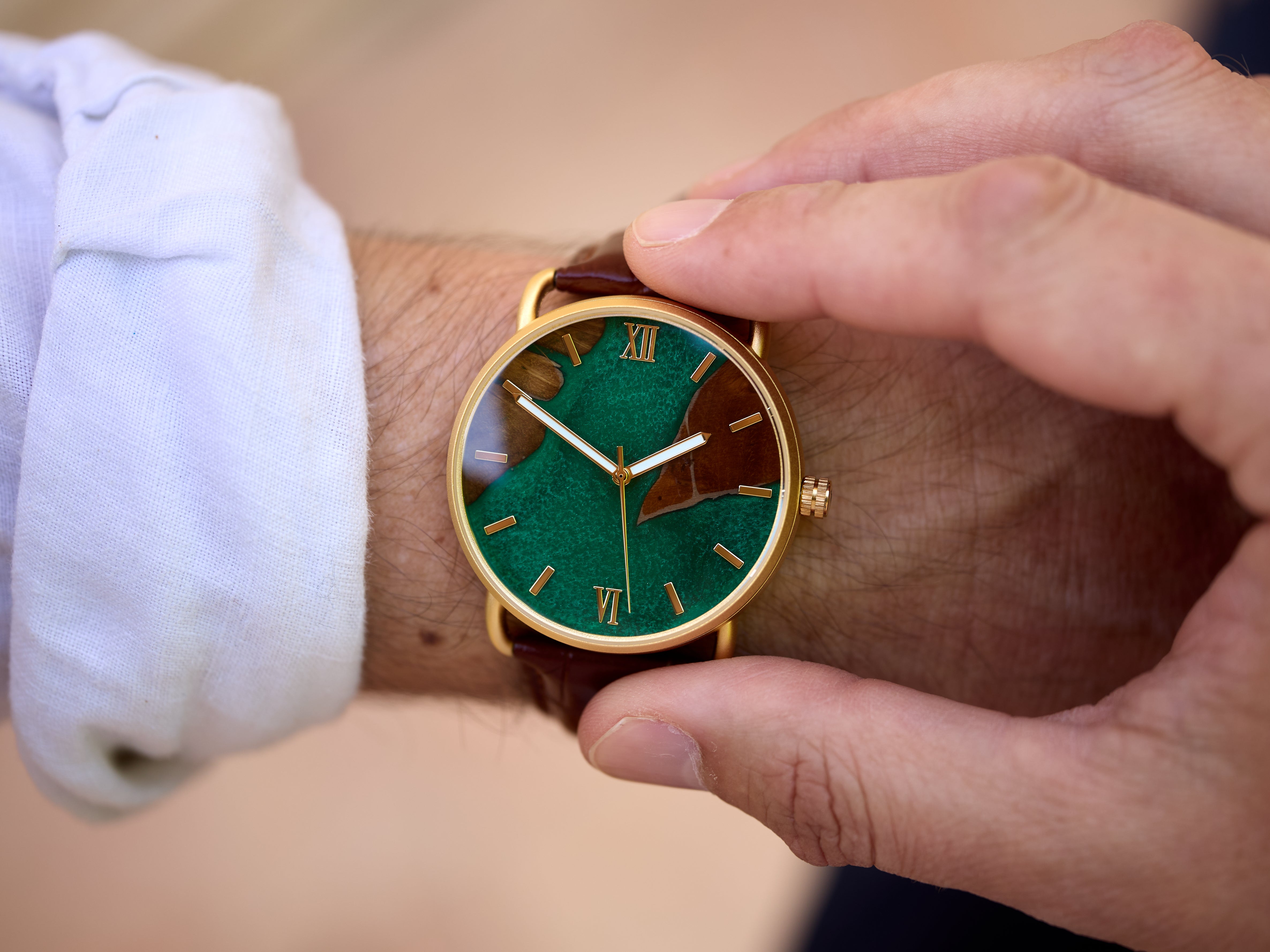 Collections – WoodpeckerWatches